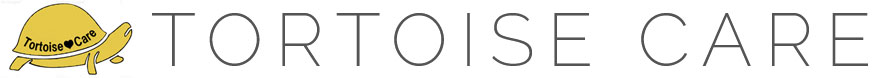 Tortoise Care